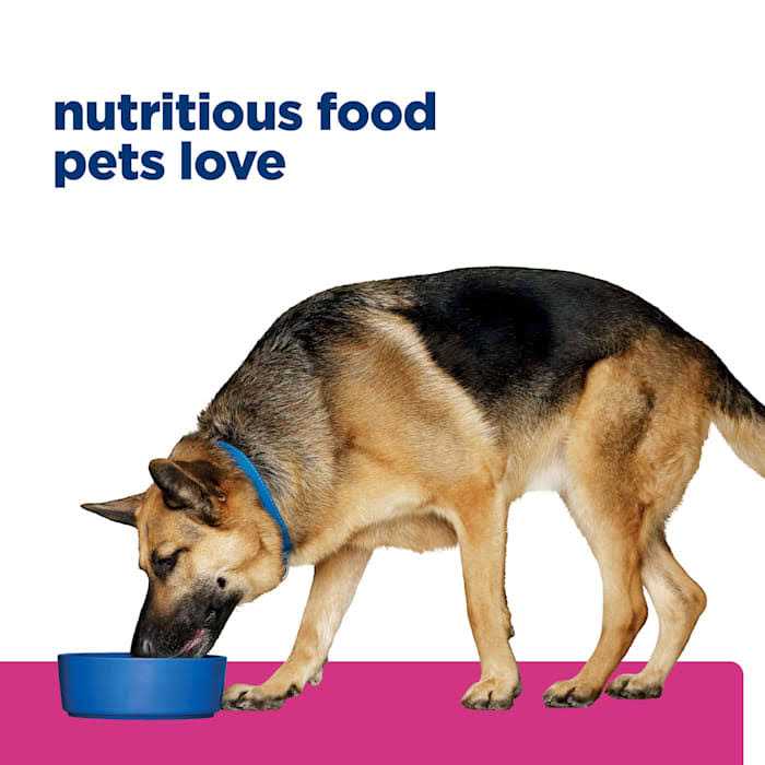 Hill&s Prescription Diet Gastrointestinal Biome Digestive Fiber Care Chicken Dry Dog Food - Pet Supplies online store