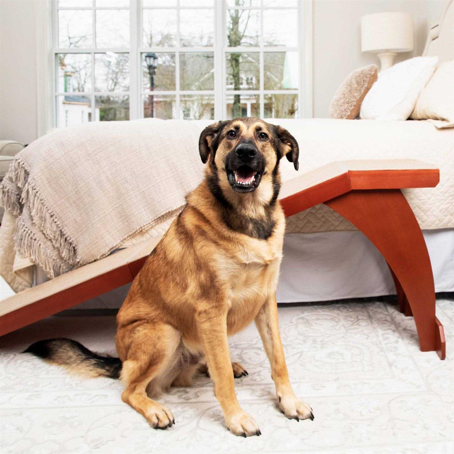 CozyUp Bed Ramp PetSafe - Pet Supplies online store