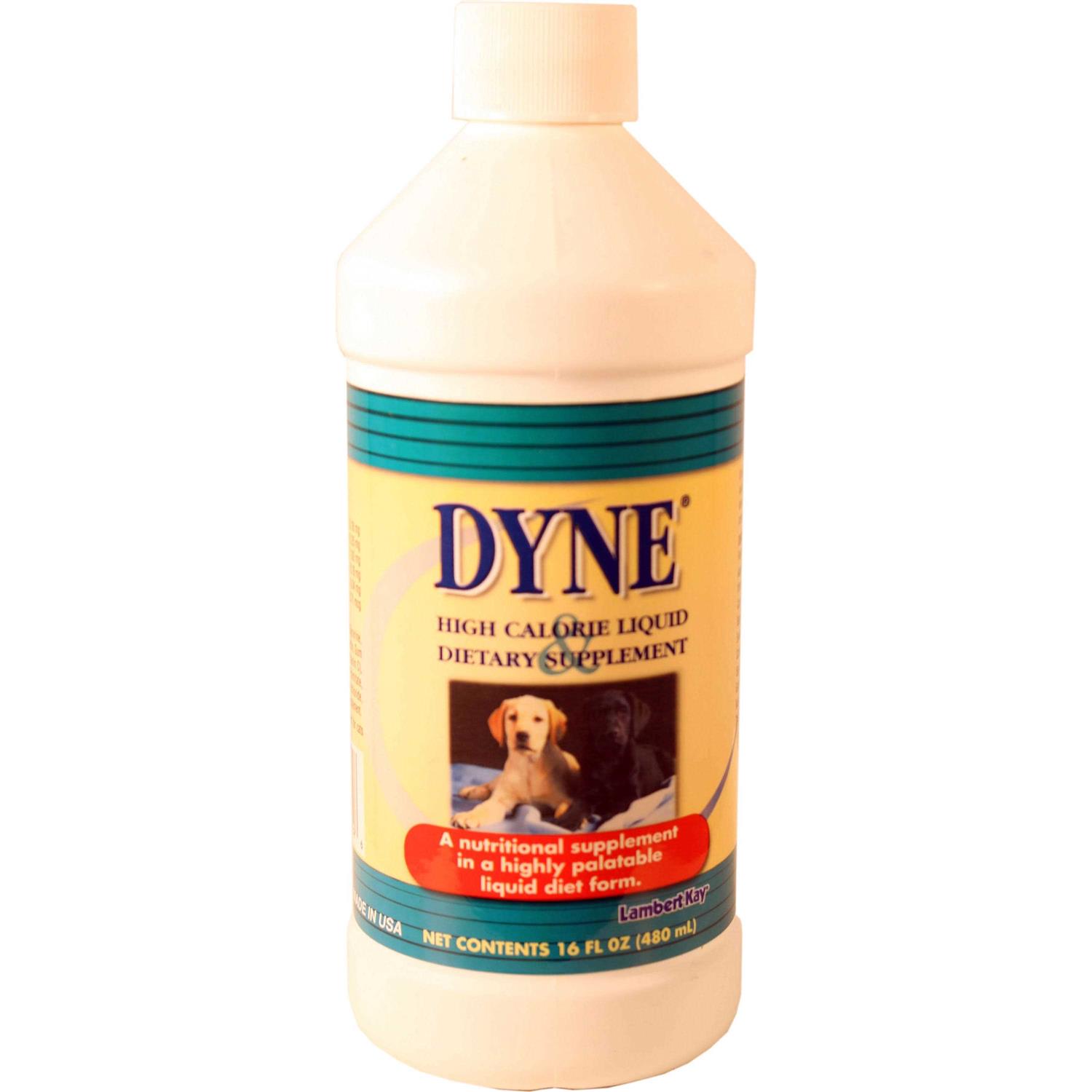 Dyne High Calorie Liquid Nutritional Supplement for Dogs & Puppies - Pet Supplies online store