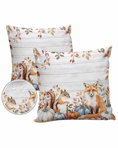 Outdoor Pillow Covers Waterproof, Fall Fox Squirrel Throw Pillowcase Decorative Cover, Autumn Pumpkin Leaves Wooden Garden Cushion Case Set of 2 for Sofa, Couch, Tent, Patio, 16