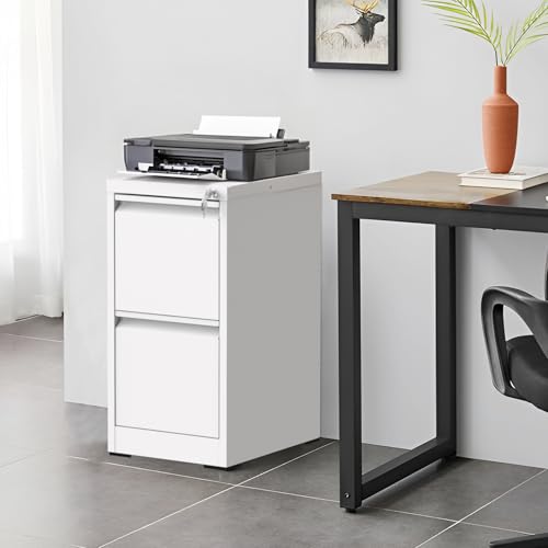 2 Drawer File Cabinet with Lock, Vertical Metal Filing Cabinet, Small Filing Cabinet Under Desk,Mini Cute Files Cabinets for Home Office,Steel Storage Cabinet Fit Letter/Legal/A4 Size Files, Black