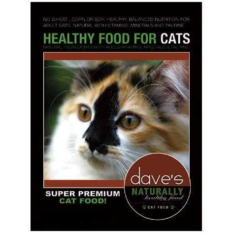 Dave's Pet Food Naturally Healthy Adult Dry Cat Food - Pet Supplies online store