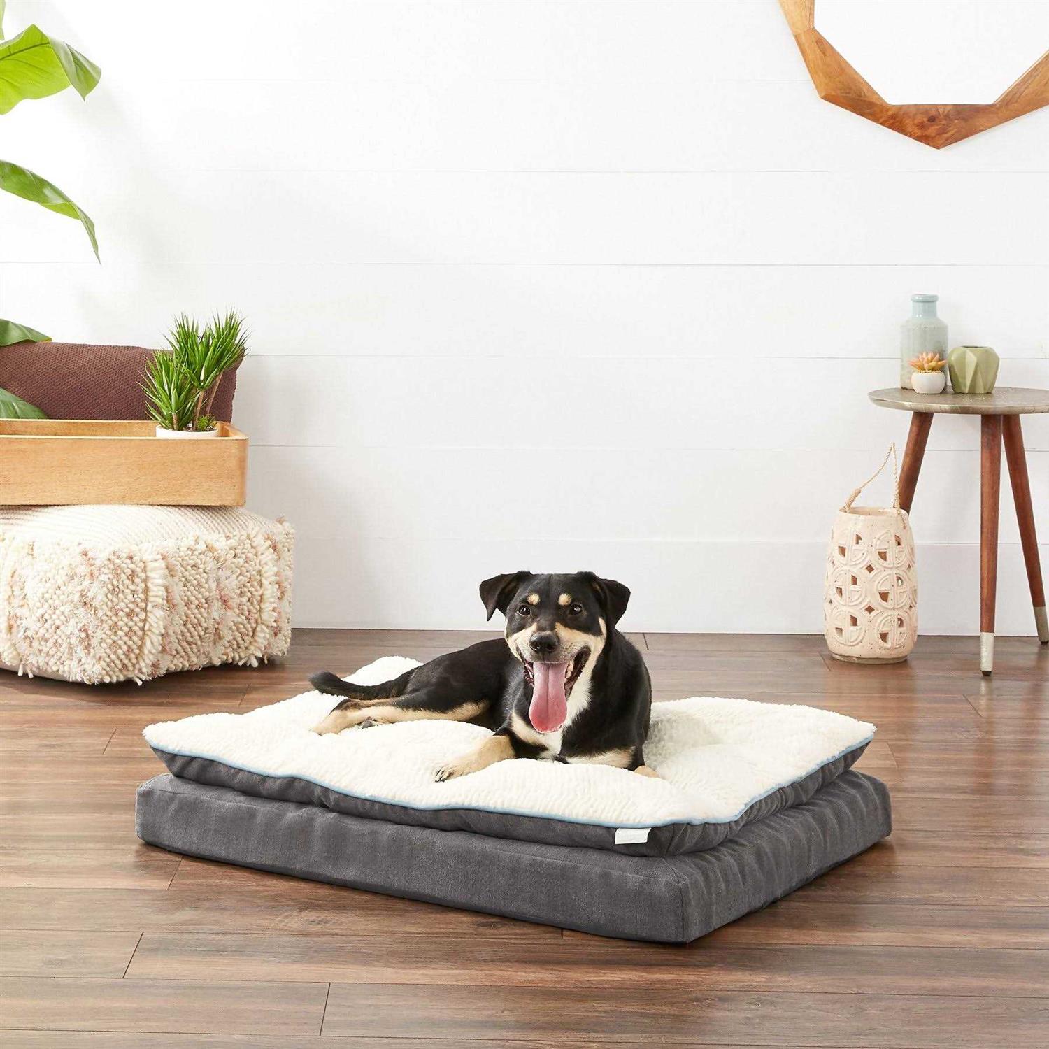 Frisco Plush Orthopedic Pillowtop Dog Bed w/Removable COVER - Pet Supplies online store