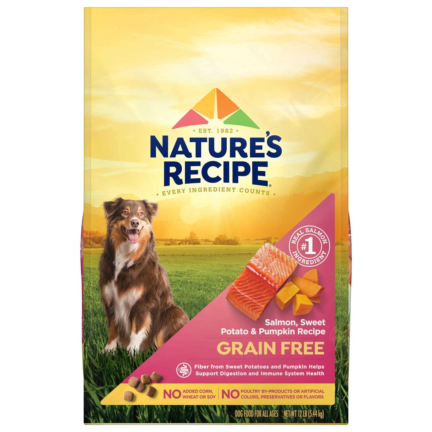 Nature's Recipe Grain Free Salmon Sweet Potato & Pumpkin Recipe Dry Dog Food - Pet Supplies online store