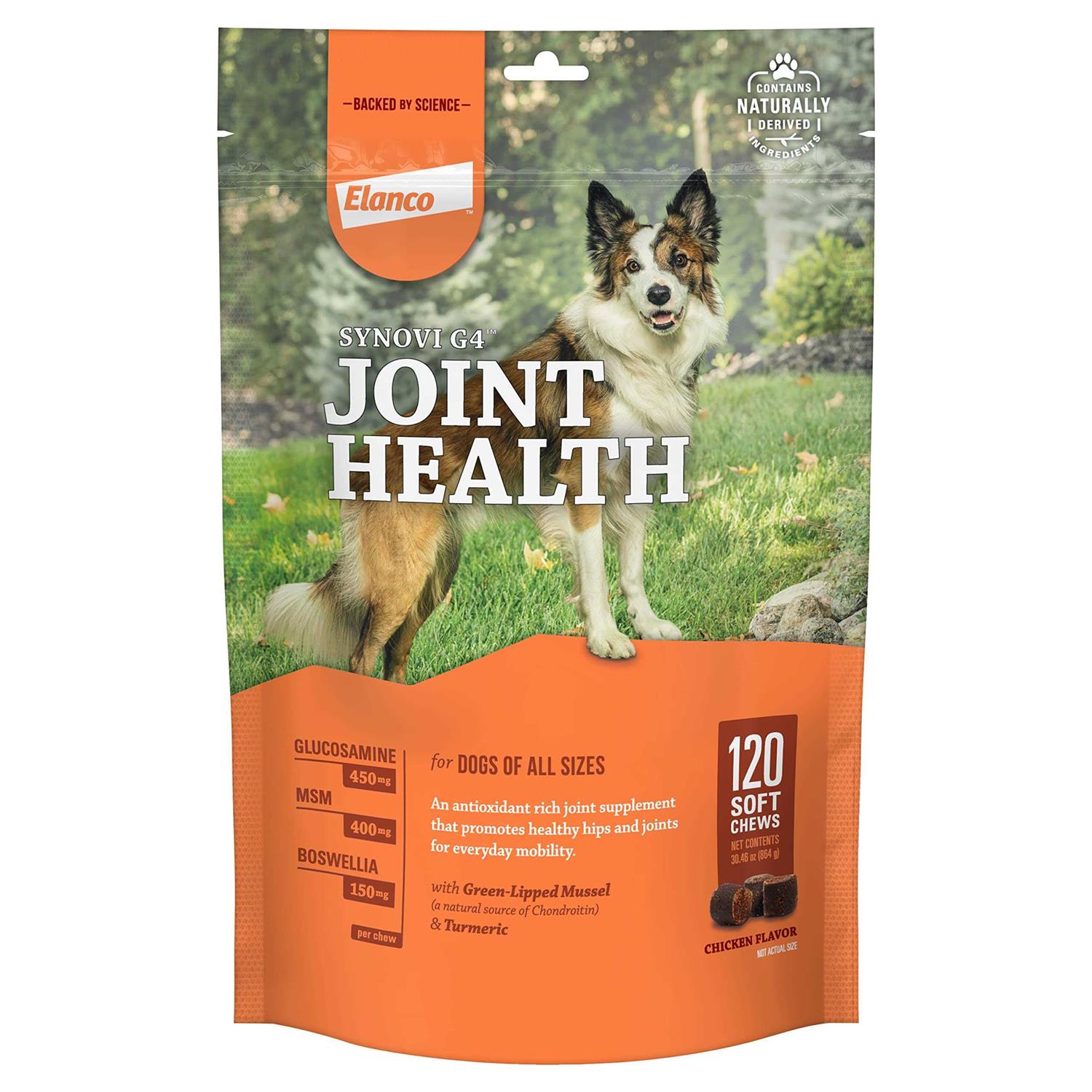 Synovi G4 Joint Supplement Soft Chews for Dogs - Pet Supplies online store