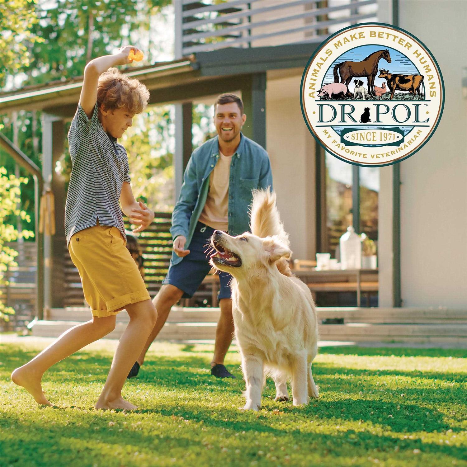 Dr. Pol Healthy Balance Chicken Recipe Dry Dog Food - Pet Supplies online store