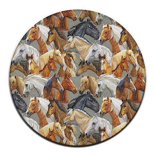 Highly Premium Quality Floor Mat, Large Round Area Rug, Office Chair Decor Mat for Carpet & Hardwood Floors Compatible with Cute Funny Cartoon Dinosaurs 24inch(60cm)