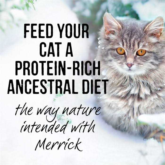 Merrick Backcountry Cat Food Real Cuts - Pet Supplies online store