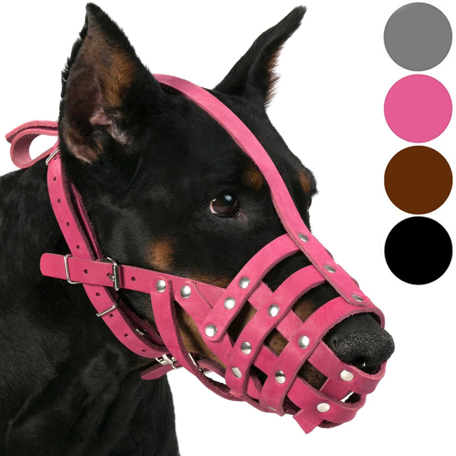 CollarDirect Dog Muzzle German Shepherd Dalmatian Doberman Setter Leather Basket Medium Large Breeds - Pet Supplies online store