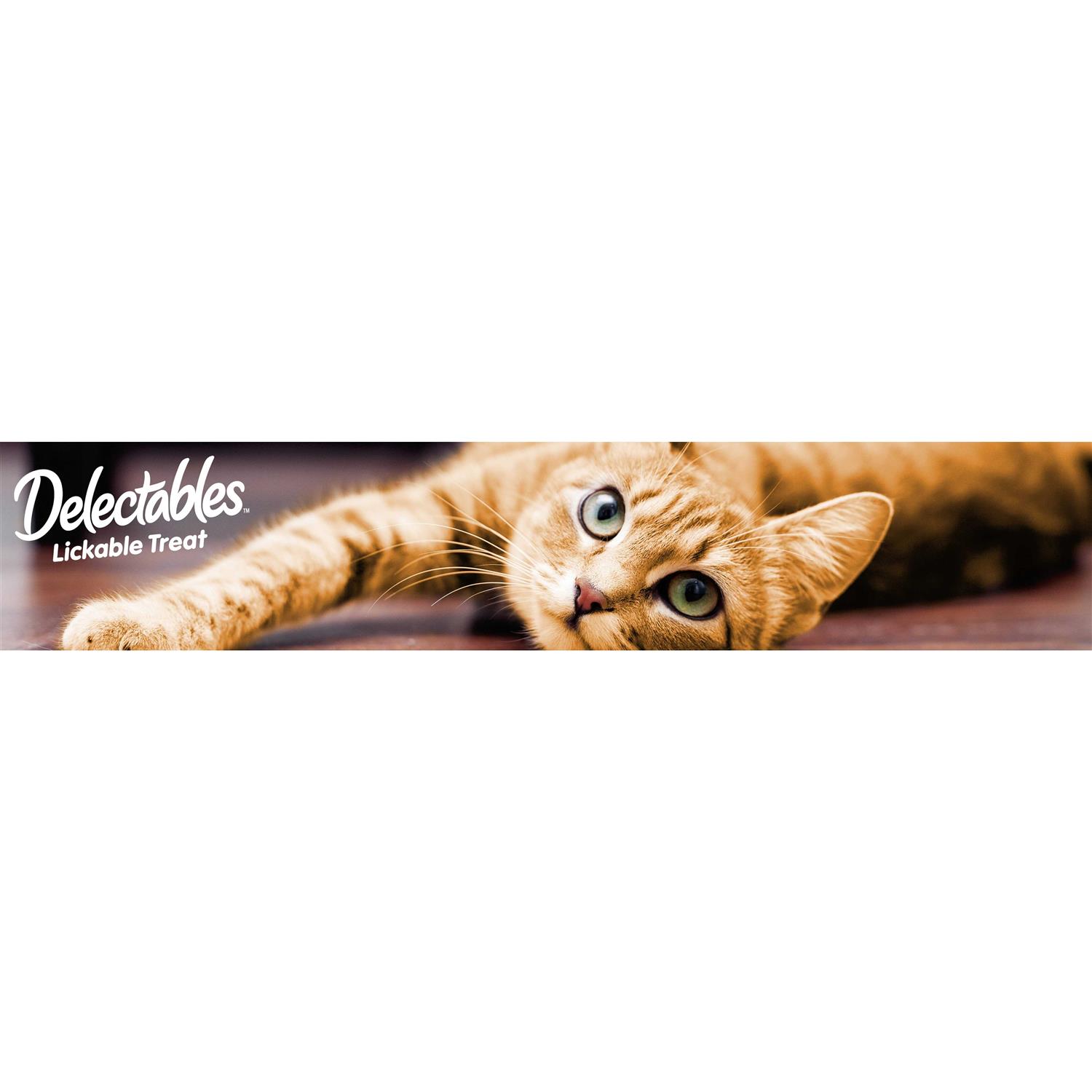 Delectables Lickable Cat - Pet Supplies online store