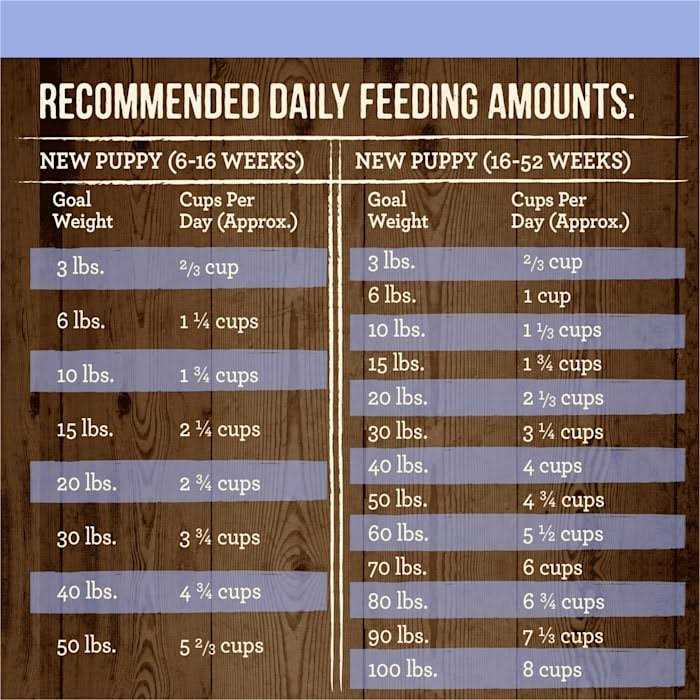 Merrick Grain Free Real Beef & Sweet Potato Puppy Recipe Dry Dog Food - Pet Supplies online store