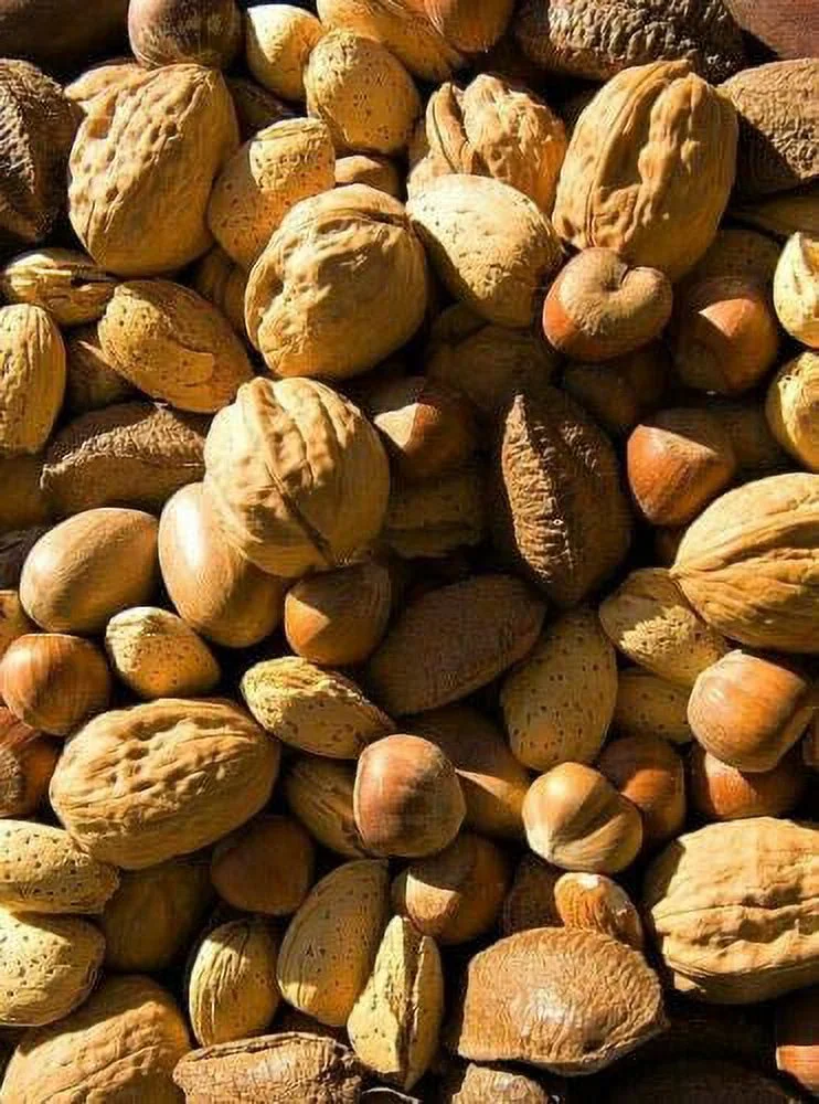 California Fresh Raw In-shell Whole Mixed Nuts 2 LB