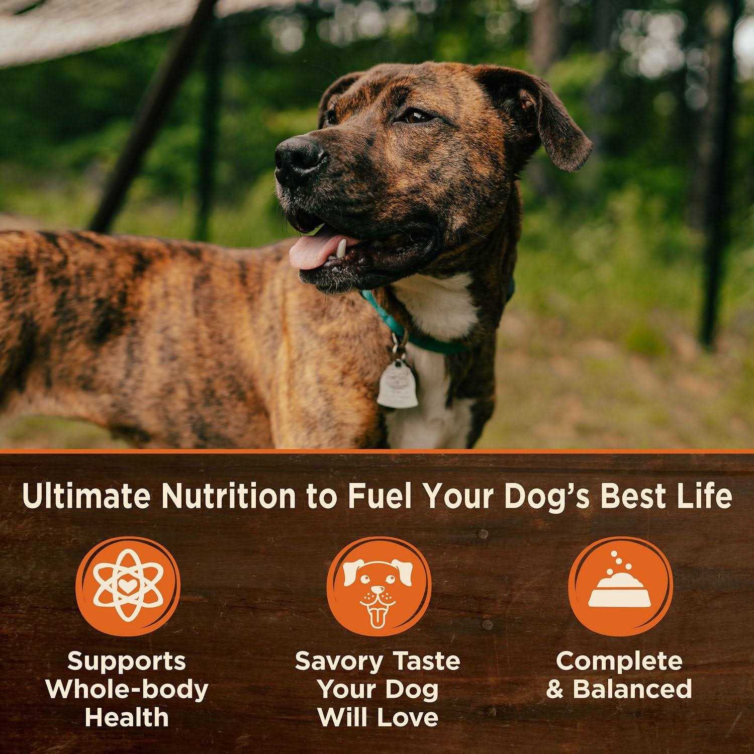Wellness CORE Grain Free Natural 95% Beef and Carrots Recipe Wet Canned Dog Food - Pet Supplies online store