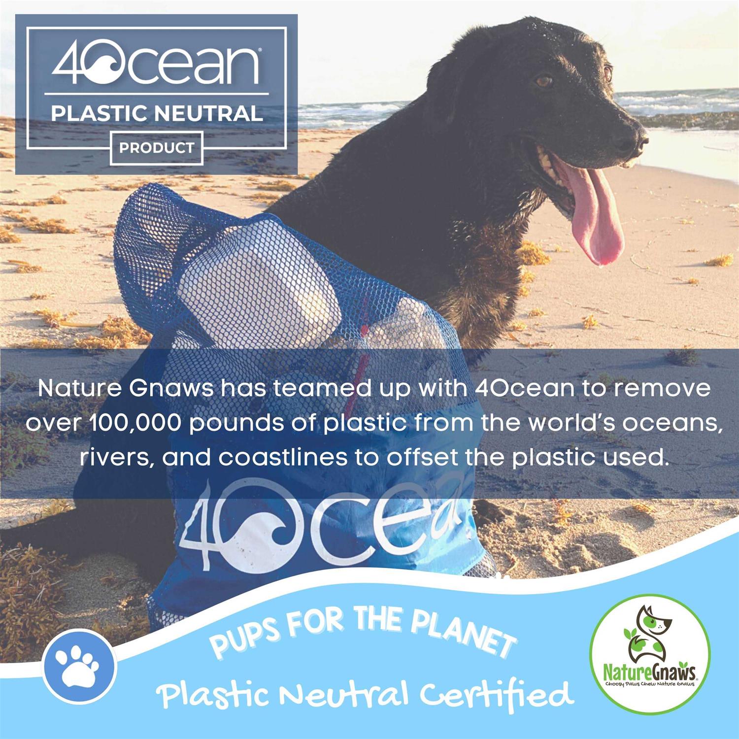 Nature Gnaws Beef Tendon Natural Dog Chews - Pet Supplies online store