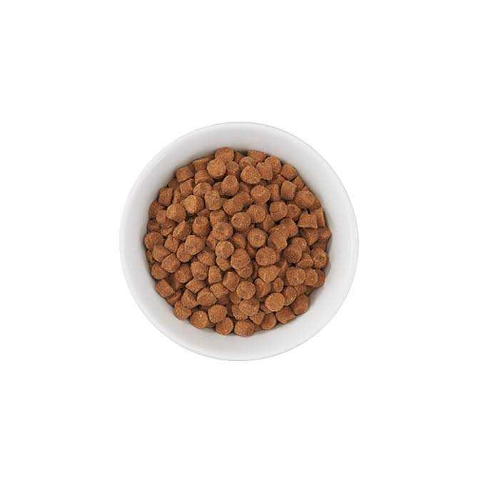 Tiki Cat Born Carnivore Turkey Light Dry Food - Pet Supplies online store