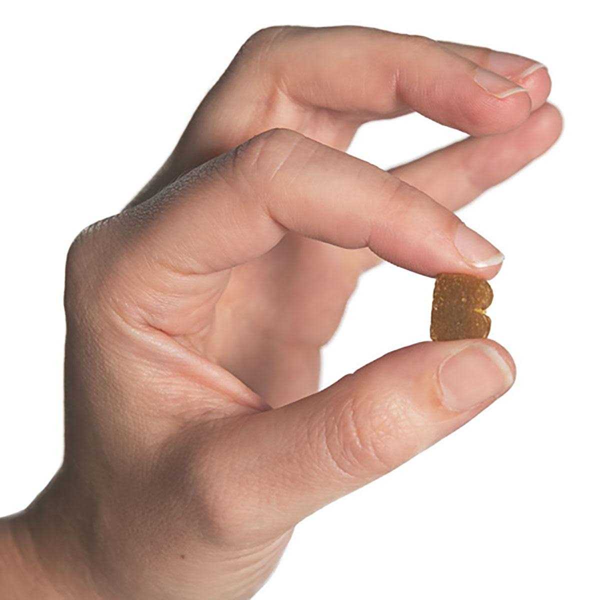 Bixbi Pocket Trainers Dog Treats - Pet Supplies online store