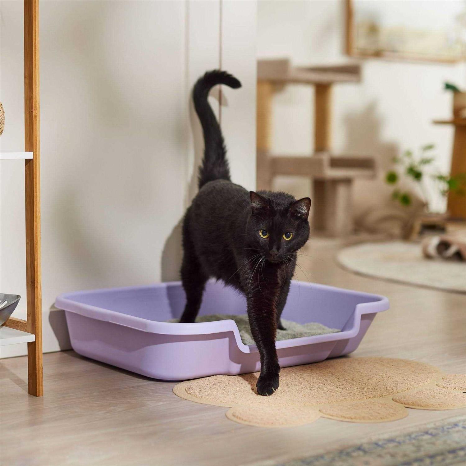 Kitty Go Here Senior Cat Litter Box - Pet Supplies online store