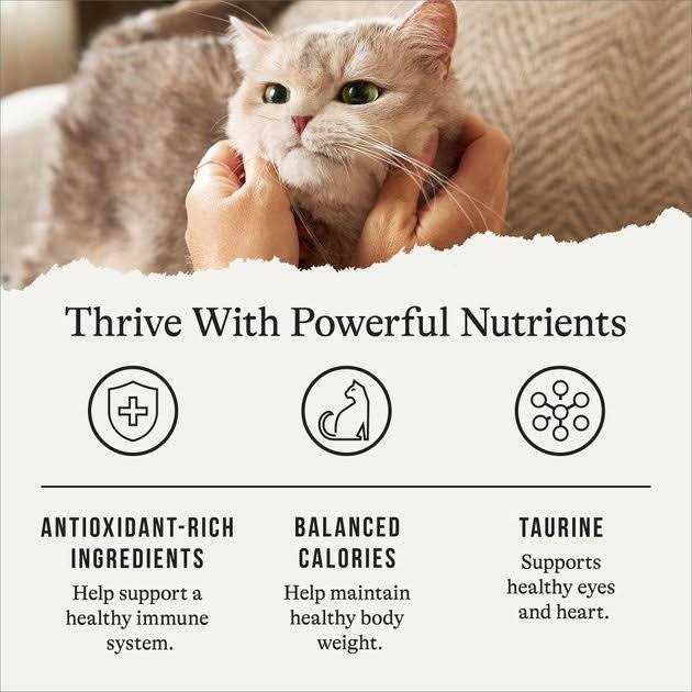 American Journey Recipe Salmon Grain-Free Dry Cat Food - Pet Supplies online store