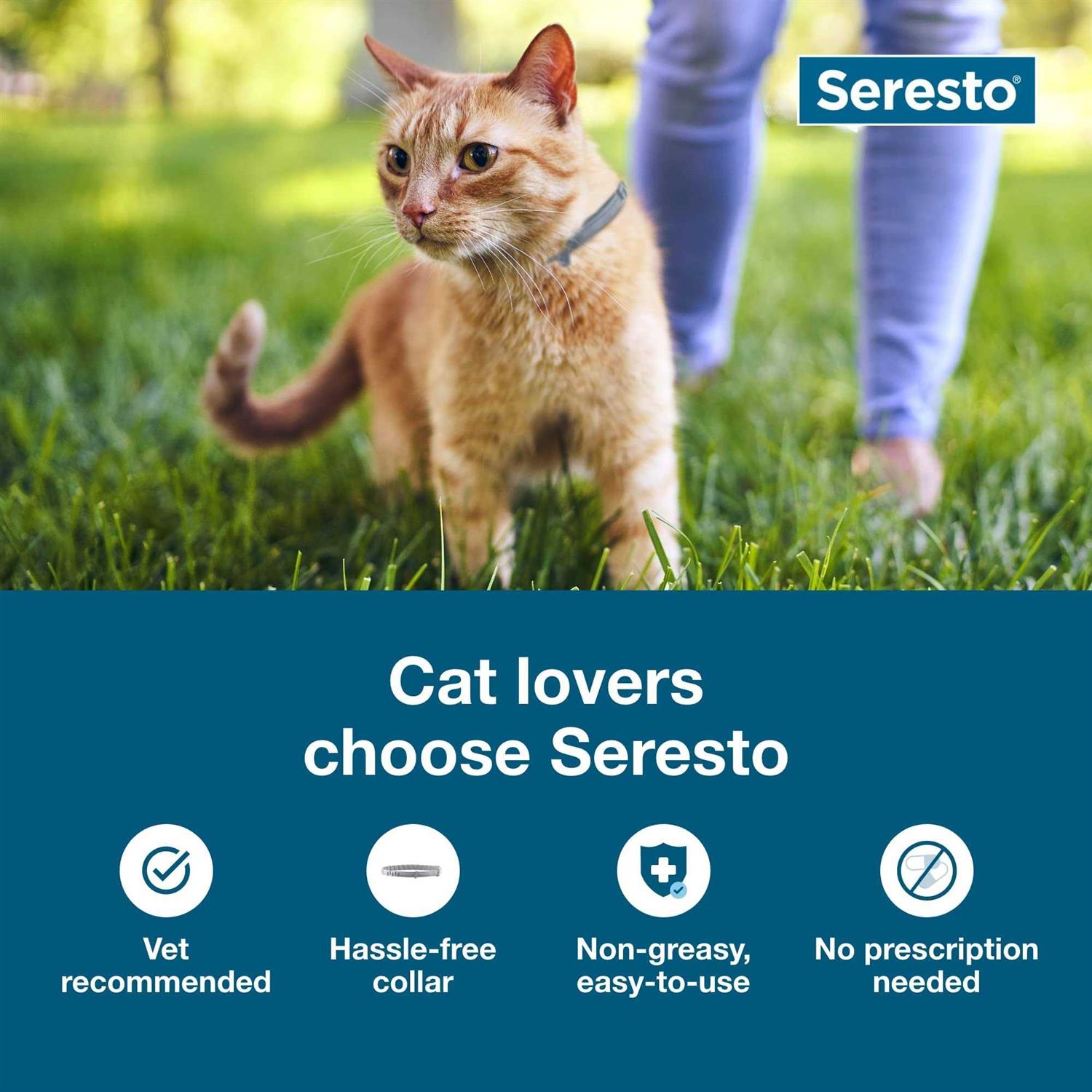 Bayer Seresto 8 Month Flea & Tick Prevention Collar for Cats - Pet Supplies online store