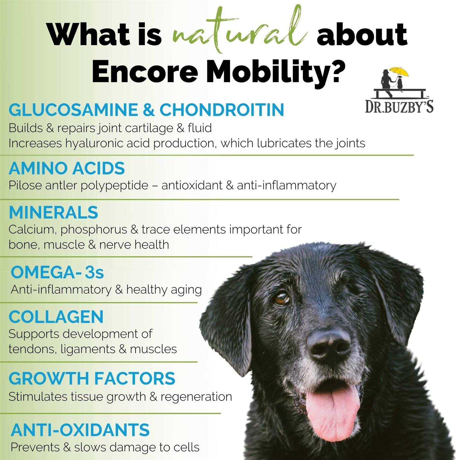 Dr. Buzby's Encore Mobility Hip & Joint Supplement for Senior Dogs, 90 Chewable Tablets, Natural New Zealand Deer Velvet and Green Lipped Mussel - Pet Supplies online store