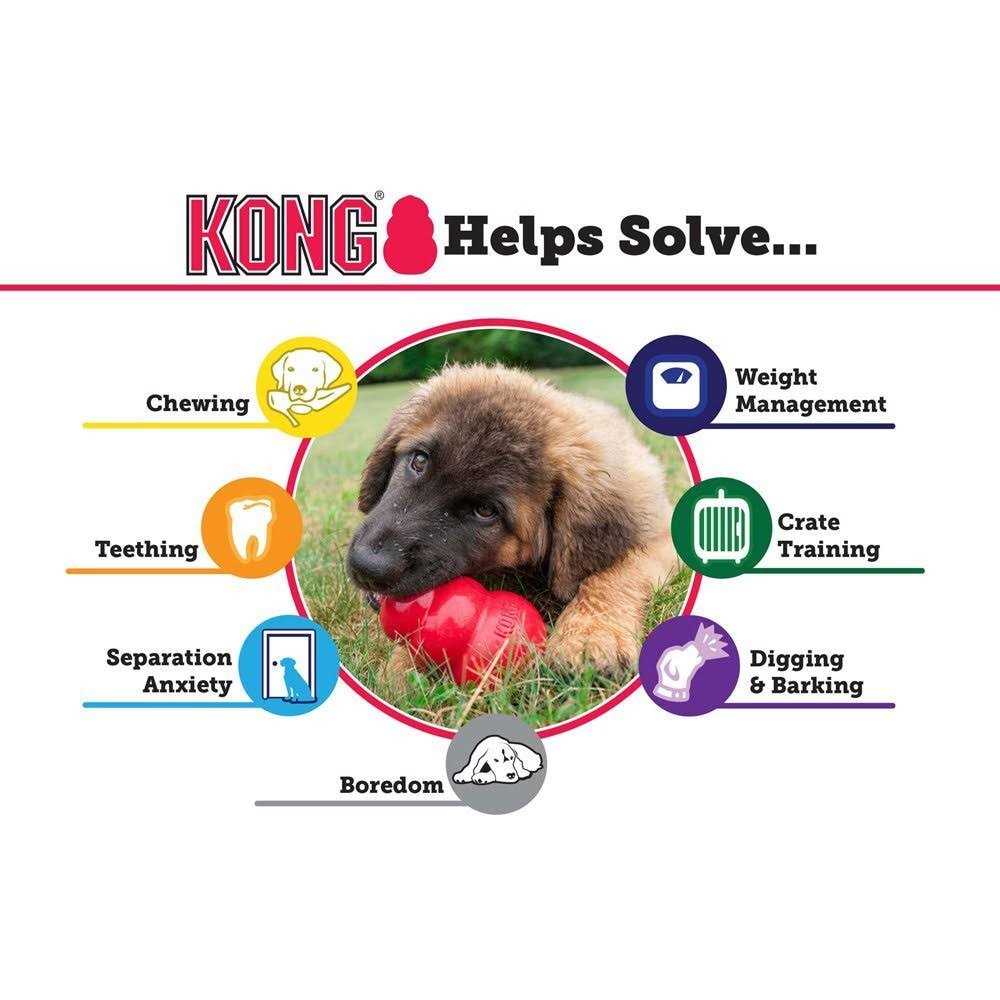 Classic KONG Dog Toy - Pet Supplies online store