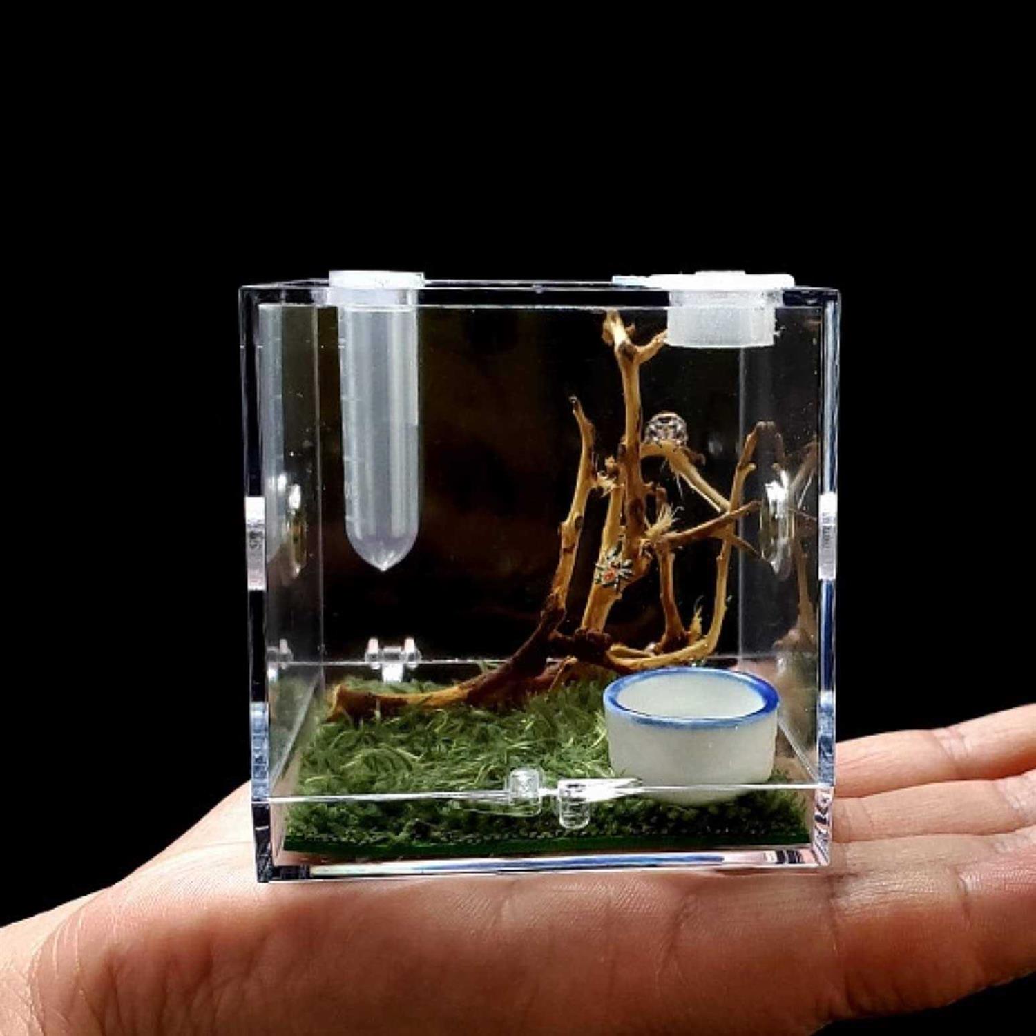 AWXZOM Spider Terrarium Acrylic Reptile Breeding Box Jumping Spider Enclosure with Dropper Tongs Snail cage - Pet Supplies online store