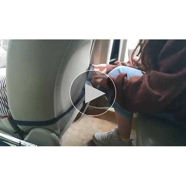 BLOBLO Dog Car Seat Pet Booster Seat Pet Travel Safety Car Seat Dog Bed for Car with Storage Pocket - Pet Supplies online store