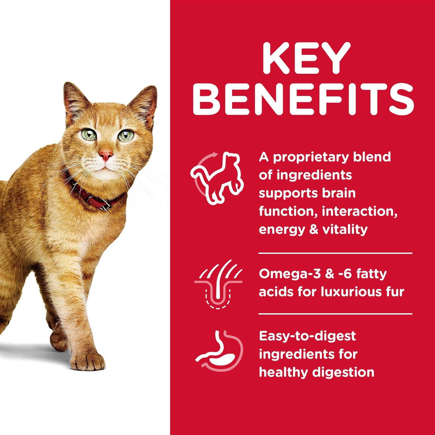 Hill's Science Diet Adult 7+ Senior Vitality Dry Cat Food - Pet Supplies online store