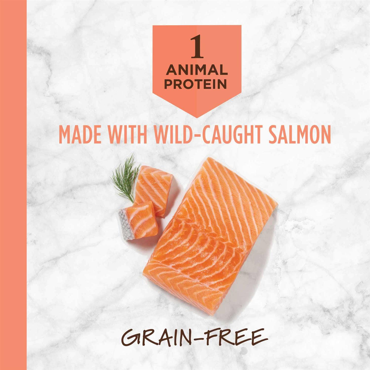 Instinct Limited Ingredient Diet Grain Free Recipe with Real Salmon Dry Cat Food - Pet Supplies online store