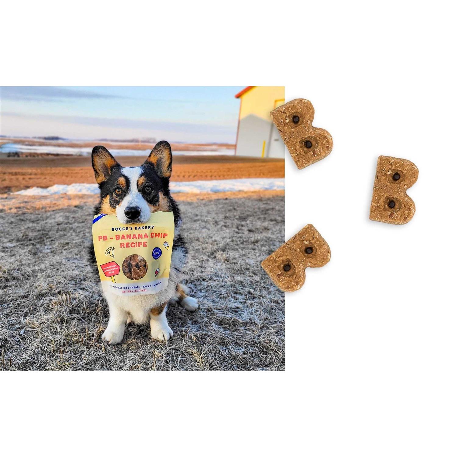 Bocce's Bakery PB Banana Chip Soft & Chewy Dog Treats - Pet Supplies online store