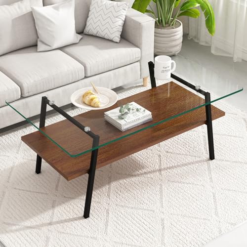LETESA Double Layer Coffee Table, Tempered Glass Center Table with Storage Shelf, Rectangle Central Table with Metal Legs, Tea Table, Cocktail Table for Living Room, Office (Brown)