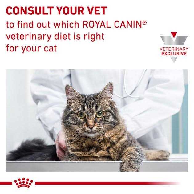 Royal Canin Veterinary Diet Feline Satiety Support Weight Management Adult Cat Loaf in Sauce Wet Food – - Pet Supplies online store