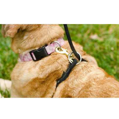 Weiss Walkie No Pull Dog Leash - Pet Supplies online store