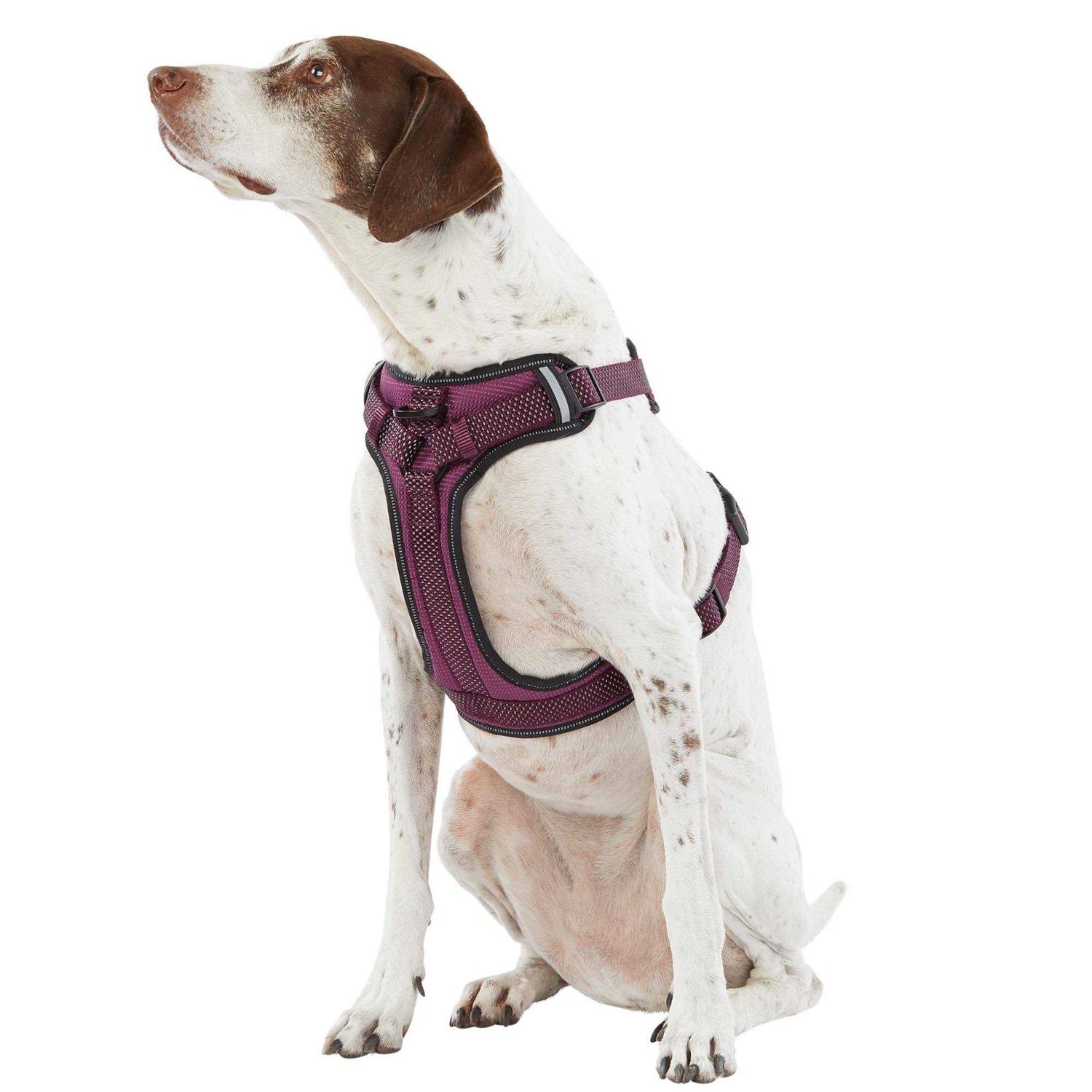 Top Paw Ultra-Reflective Dog Harness - Pet Supplies online store