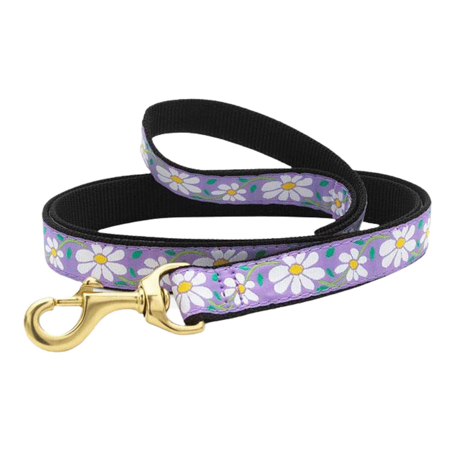 Up Country Daisy Dog Collar - Pet Supplies online store