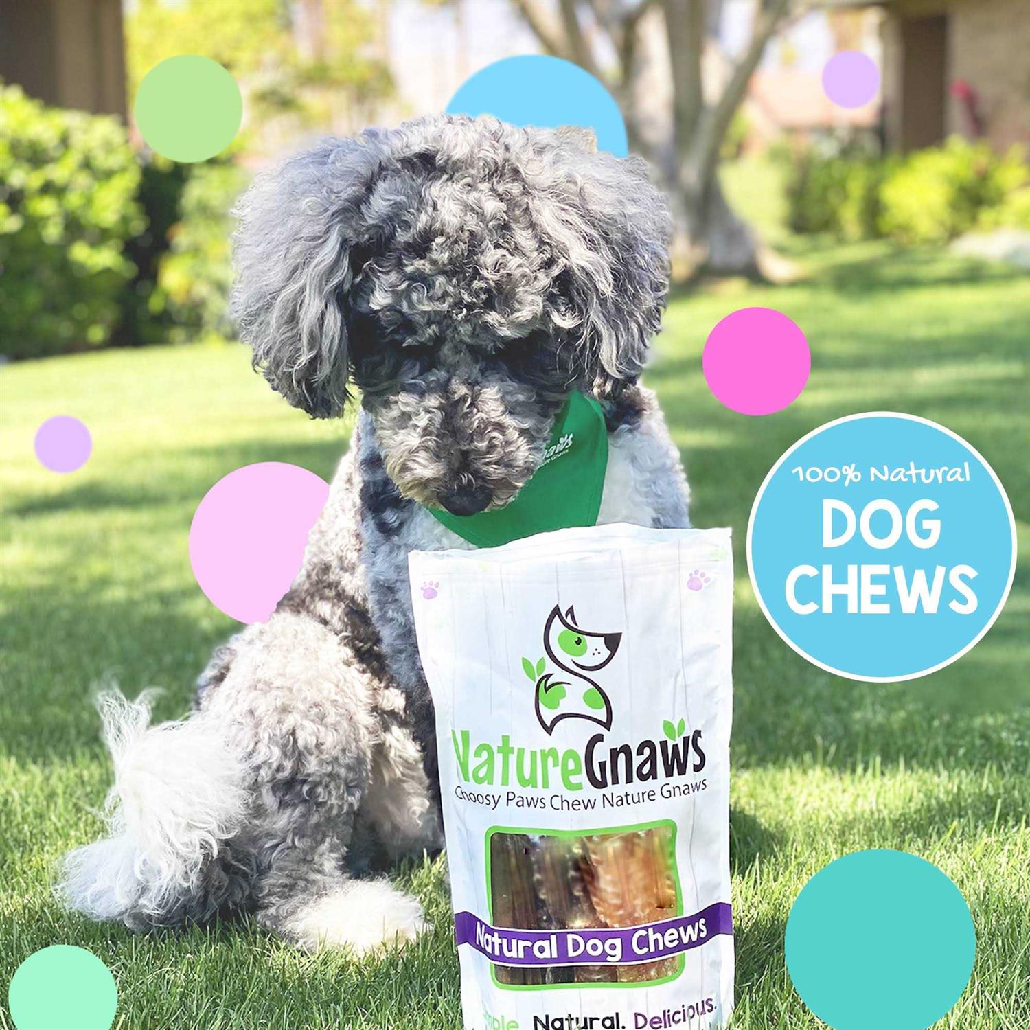 Nature Gnaws Variety Pack Natural Dog Chews - Pet Supplies online store