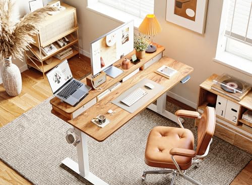 BANTI 48 x 24 Inch Electric Standing Desk with 3 Drawers, Adjustable Height Stand Up Desk, Sit Stand Home Office Desk with Storage Shelf, Rustic Brown Top