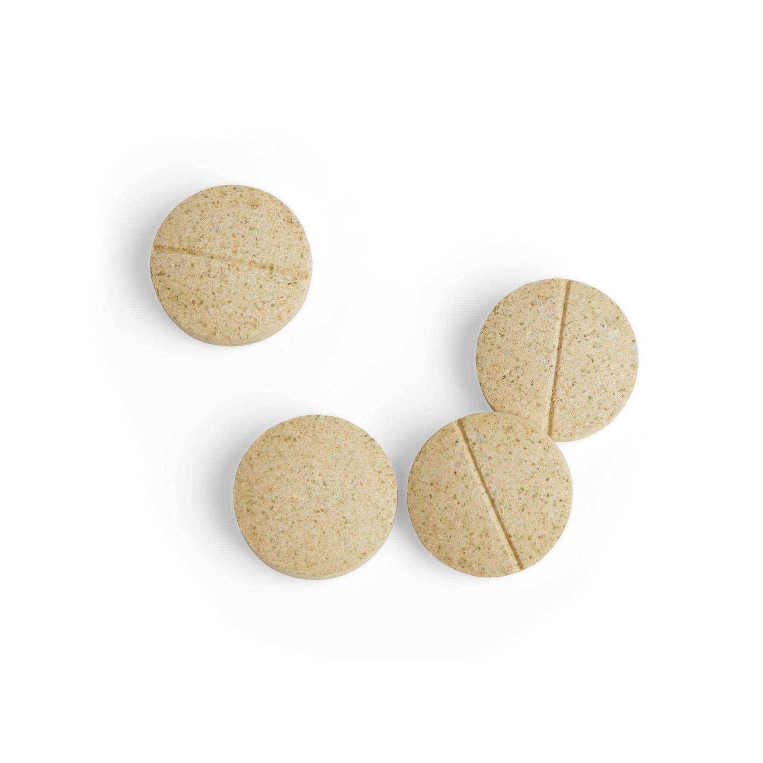 Well & Good Dog Gas Stop Chewable Tablets - Pet Supplies online store