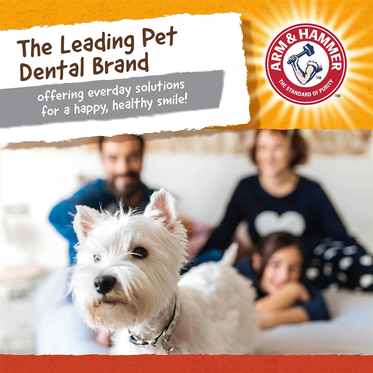 Arm & Hammer Treadz Gorilla Dental Dog Toy - Pet Supplies online store