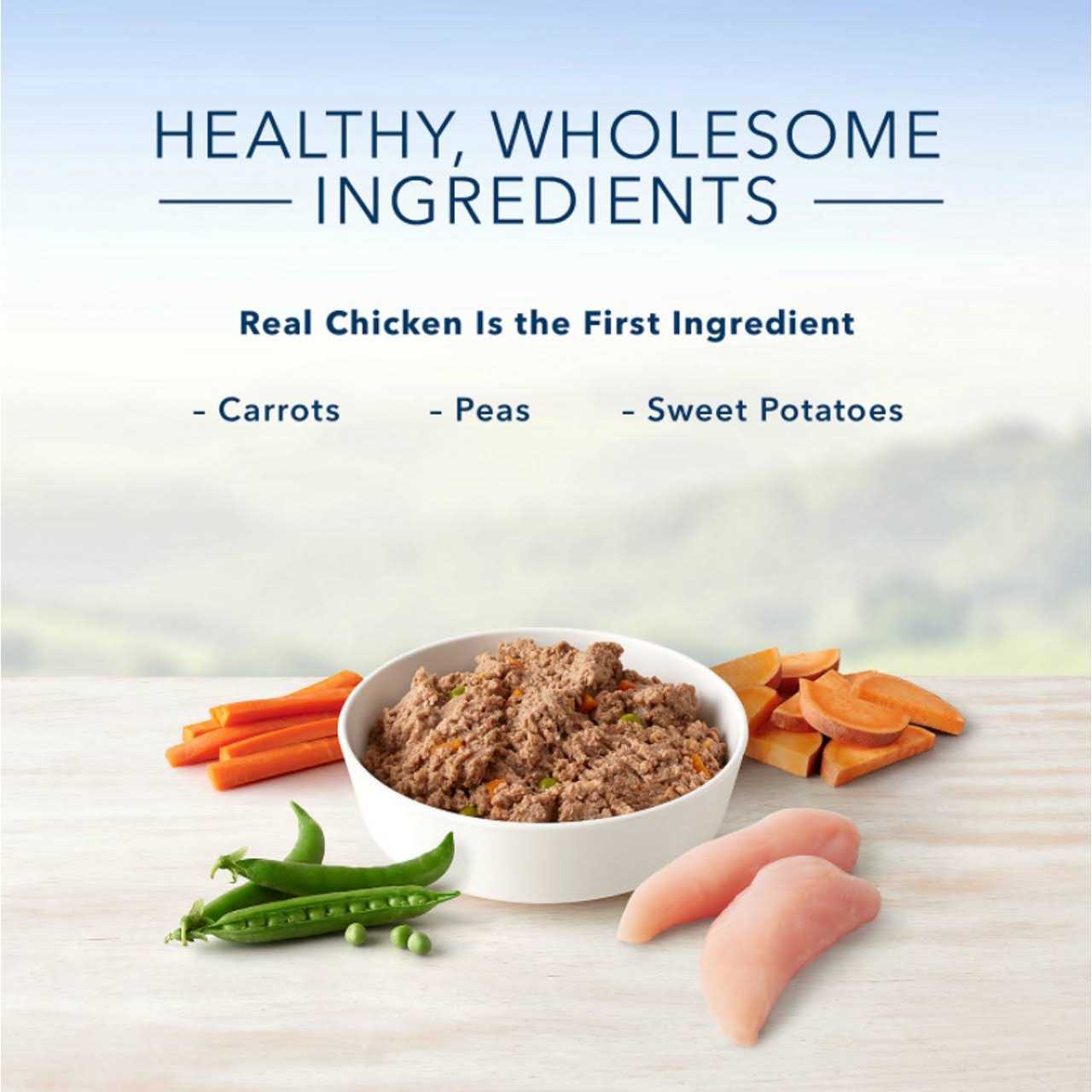 Blue Buffalo Homestyle Recipe Senior Dog Food Chicken Dinner - Pet Supplies online store