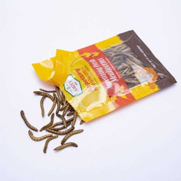 Amzey Appetizing Fresh Mealworms Treats - Pet Supplies online store