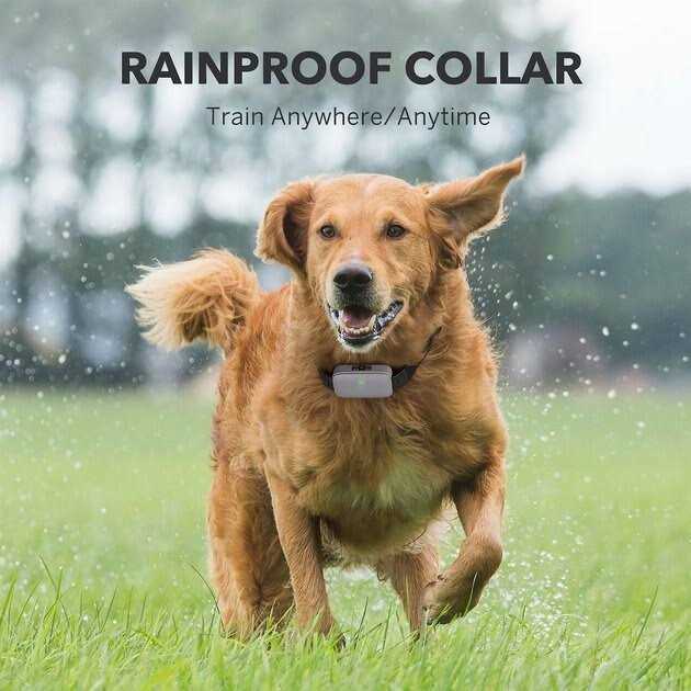 DogCare EC11 Dog Training System - Pet Supplies online store