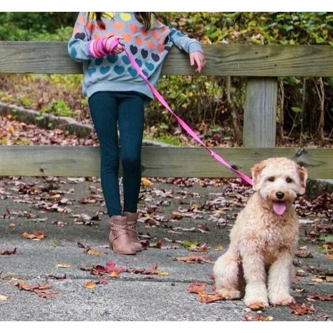 Sweet Paws Wearable Stack Puppy Teether Chew Toy - Pet Supplies online store