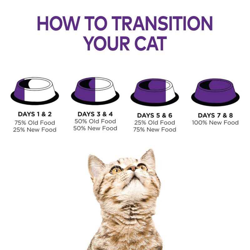 Wellness Cat Food - Pet Supplies online store