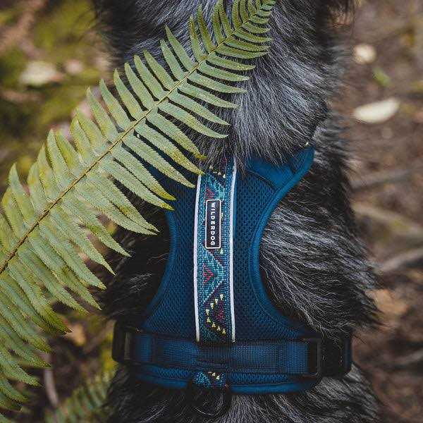 Wilderdog Harness - Pet Supplies online store