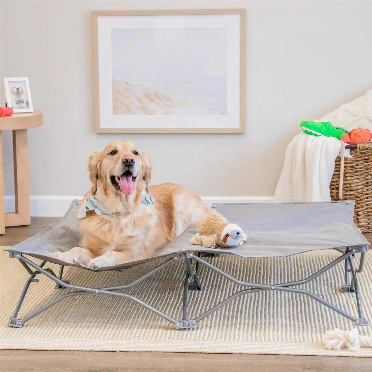 Carlson Pet Products Portable Pup Pet Bed - Pet Supplies online store