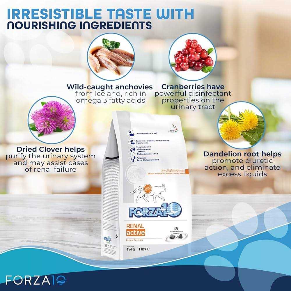 Forza10 Active Kidney Renal Support Diet Dry Cat Food - Pet Supplies online store