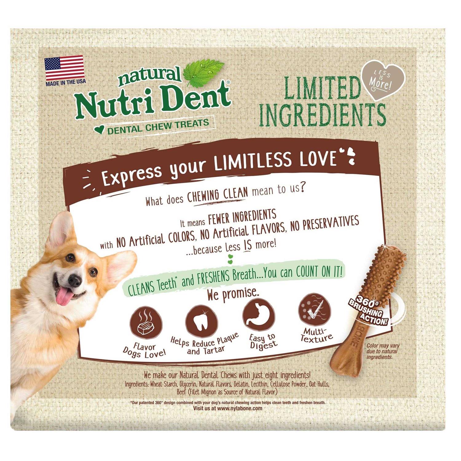 Nylabone Nutri Dent Dental Chews Filet Mignon - Pet Supplies online store