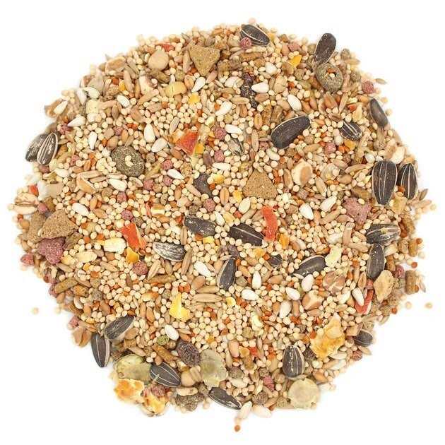 Sunseed Vita Prima Cockatiel & Lovebird Food - Pet Supplies online store