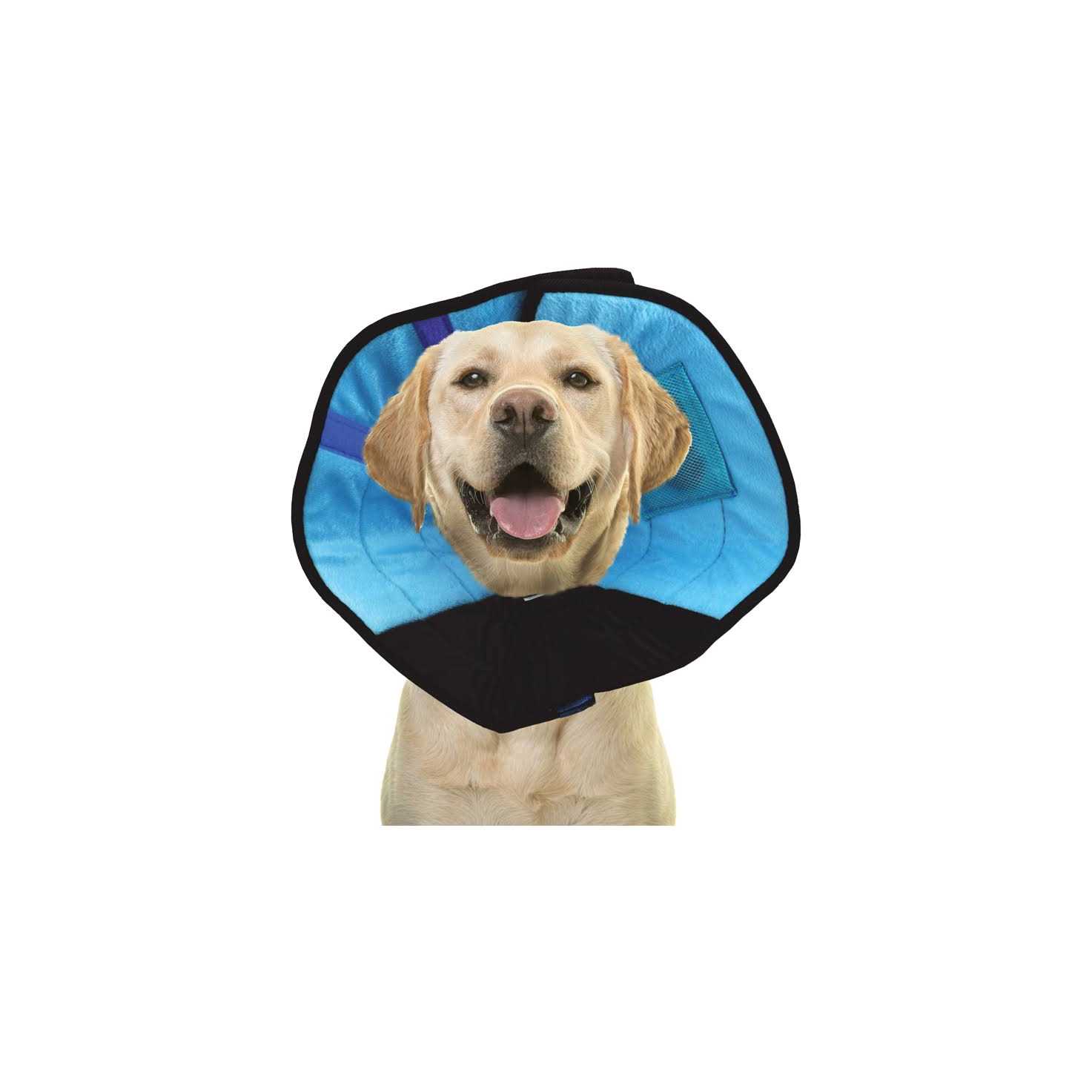 Calm Paws Cat Caring Collar w/ Calming Disk - Pet Supplies online store